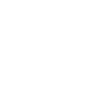 Regele - ceaunului! model alb pe tricou