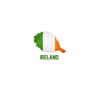 Steag irlandez model alb pe tricou