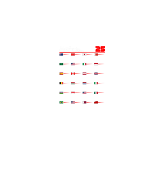 F1 calendar 2025 negru model negru pe tricou