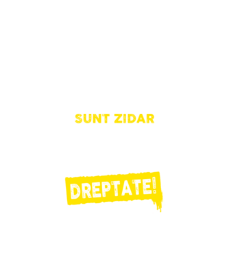 Sunt zidar, pentru a economisi timp, să reținem că am întotdeauna dreptate! model albastru închis pe tricou