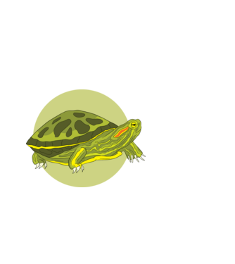 Turtle model negru pe tricou
