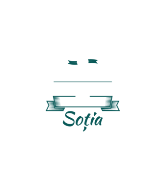 O singură persoană este mai tare decât un zugrav, soția zugravului model negru pe tricou