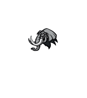 Elephant model gri pe tricou