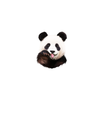 Panda face model turcoaz pe tricou