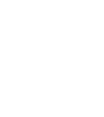 chitară evolution model negru pe tricou
