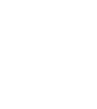 LOVE Havanese model negru pe tricou