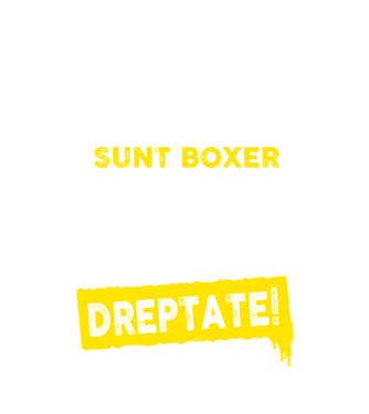sunt boxer - pentru a economisi timp, să reținem că am întotdeauna dreptate model negru pe tricou