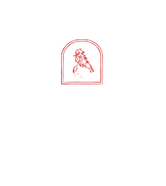 Festival BBQ - cu tata în grădina din spate! model negru pe tricou