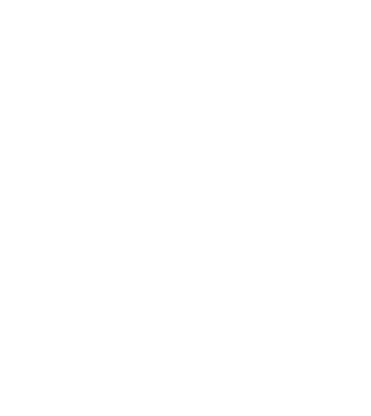 Așa arată un stăpân de Havanese foarte chipeș model negru pe tricou