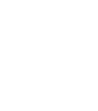 Mr. model alb pe tricou