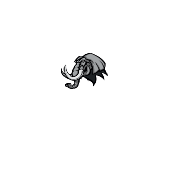 Elephant model gri pe tricou