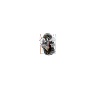 Kurwa pingwin model negru pe tricou