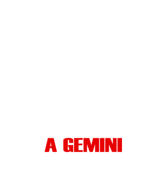 Piss of a GEMINI model negru pe tricou