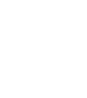 Bug fixed model negru pe tricou