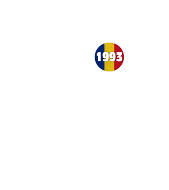 Made in 1993 model turcoaz pe tricou