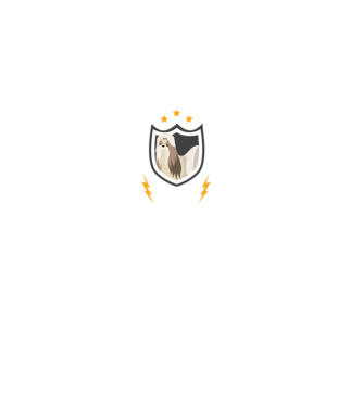 serviciu de securitate - securitate - persistență - 24 de ore pe zi model negru pe tricou
