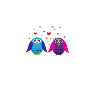 Owl Love model gri pe tricou