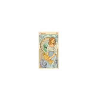 Horoscop Tarot VARSATOR model alb pe tricou