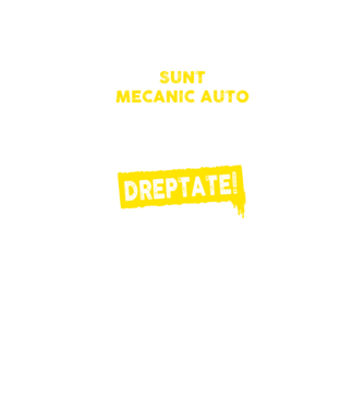 sunt MECANIC AUTO, pentru a economisi timp, să reținem că am întotdeauna dreptate model negru pe tricou