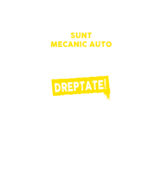 sunt MECANIC AUTO, pentru a economisi timp, să reținem că am întotdeauna dreptate model negru pe tricou