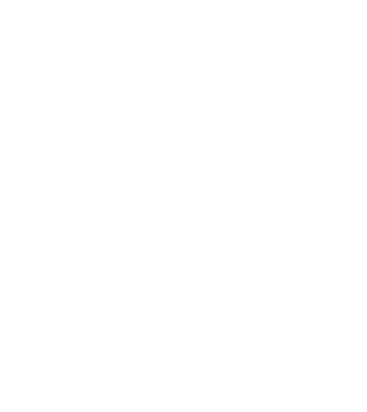 Freedom model gri pe tricou