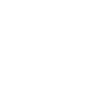 LOVE Havanese model negru pe tricou