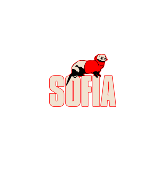 sofia la casa de papel model albastru jeanși pe tricou