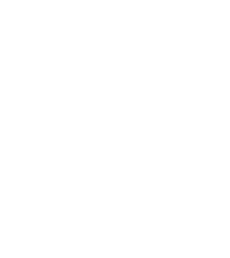 LOVE Border Collie model negru pe tricou