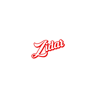 Cel mai bun ZIDAR din lume model negru pe tricou