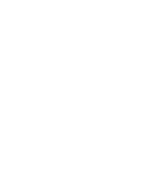 Crazy Cat Ladies are born in January model negru pe tricou