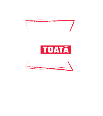 Toată luna DECEMBRIE model negru pe tricou