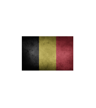 BELGIUM model alb pe tricou