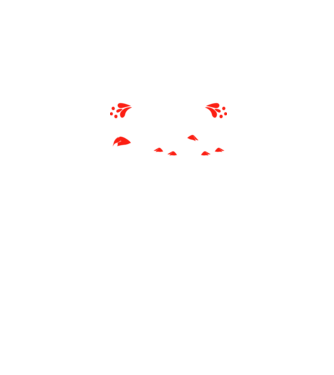 merry chessmass model albastru jeanși pe tricou