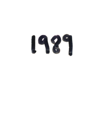 Taylor Swift 1989 text model gri pe tricou