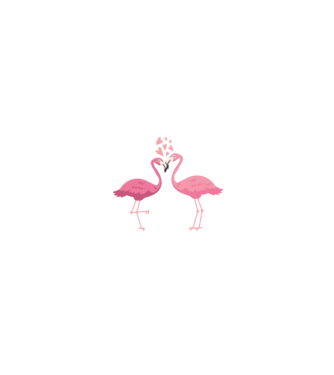 FLAMINGO ÎNDRĂGOSTIȚI model alb/roșu pe tricou