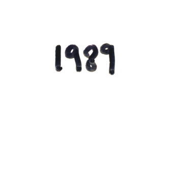 Taylor Swift 1989 text model alb pe tricou