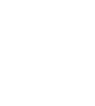 nimeni nu e perfect, dar stăpânii de border collie sunt foarte aproape model negru pe tricou