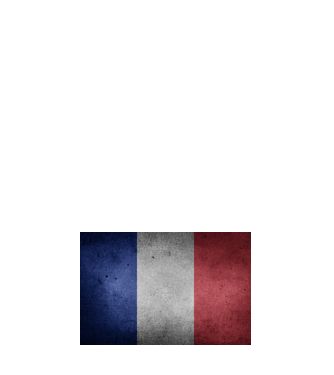 FRANCE model albastru închis pe tricou