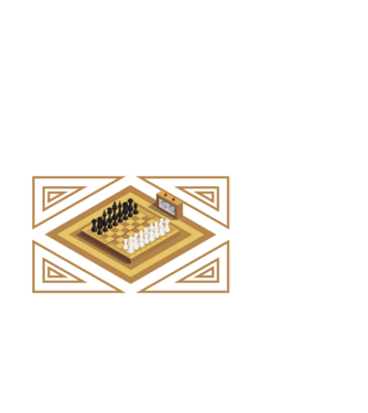 Pused my chess game model alb pe tricou
