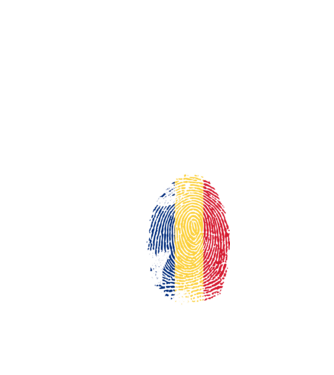 its in my dna model negru pe tricou