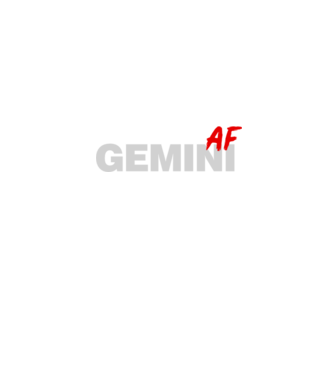 GEMINI as fuck model negru pe tricou