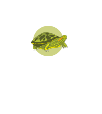 Turtle model negru pe tricou