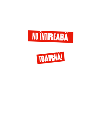 Cumnatul nu întreabă, cumnatul toarnă! model turcoaz pe tricou