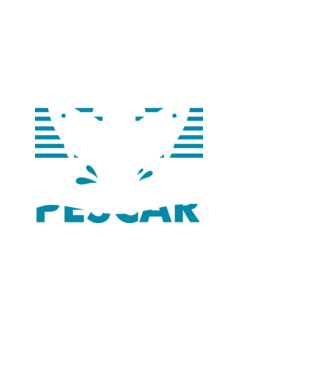 Pescar original model alb pe tricou