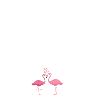 FLAMINGO ÎNDRĂGOSTIȚI model negru pe tricou