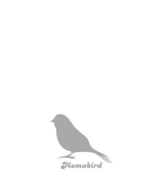 Momabird model negru pe tricou