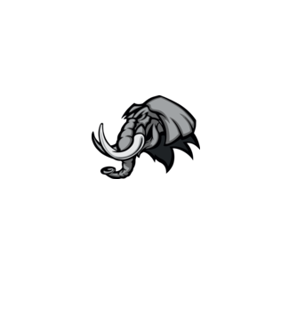 Elephant model galben pe tricou