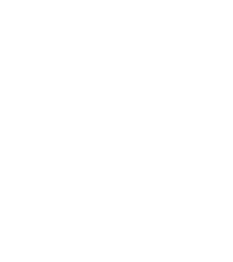 Regele - ceaunului! model negru pe tricou