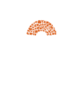 Pokeball model negru pe tricou