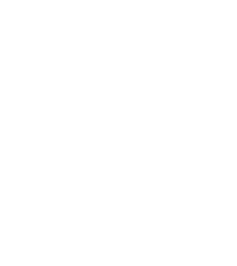 Box evolution model negru pe tricou